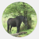Suche nach cute animal aufkleber Animals