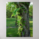 Suche nach farne poster Pflanzen