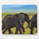 Suche nach wildtiere mousepads Natur
