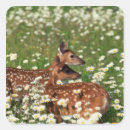 Suche nach unschuld aufkleber Blume