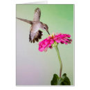 Suche nach davis postkarten Blume