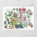 Suche nach kräuter postkarten Jede person