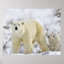 Suche nach tierfamilie poster Horizontal