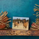 Suche nach wild fotoplatten Superstock