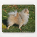 Suche nach körper mousepads Foto