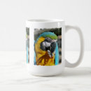 Suche nach macaws Vogelvogel