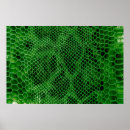 Suche nach grüne schlangen poster Python