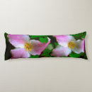 Suche nach frank kissen America