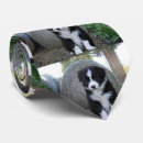 Suche nach welpen krawatten Hund