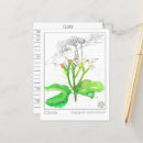 Suche nach spices postkarten Jede person