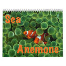Suche nach clowns kalender Fische