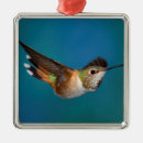 Suche nach kolibrie ornamente Vogel
