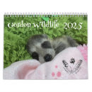 Suche nach waschbär kalender Tiere