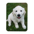 Suche nach selfie magnete Gedenkfeier