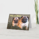 Suche nach mops karten Jungtier