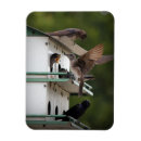 Suche nach martine magnete Für alle