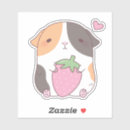 Suche nach kawaii meerschweinchen Süß