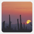 Suche nach tucson aufkleber Reise