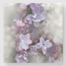 Suche nach flieder untersetzer Für alle