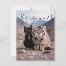 Suche nach lächelnde katze postkarten Jede person