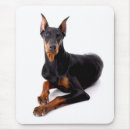 Suche nach pinscher mousepads Doberman
