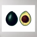 Suche nach avocado poster Vintag