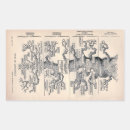 Suche nach darwin aufkleber Geschichte