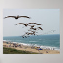 Suche nach für banker poster Vogel