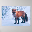Suche nach fox poster Elegant