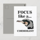 Suche nach kormoran postkarten Vogelvogel