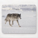 Suche nach wolf mousepads Natur
