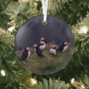 Suche nach puffin ornamente Tierwelt