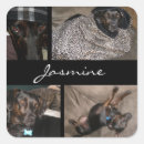 Suche nach dog lover aufkleber Hund