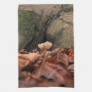 Suche nach baumstamm geschirr tücher Pilz