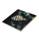 Suche nach tropische fische fliesen Für alle