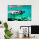 Suche nach ocean life poster Aquatic