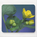 Suche nach sumpf mousepads Blume