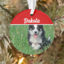 Suche nach collie ornamente Für haustiere