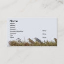 Suche nach schwarzer vogel visitenkarten Schön