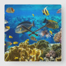 Suche nach wanduhr mit tropischen fischen wanduhren Blau
