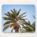 Suche nach blauer himmel mousepads Palme