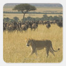 Suche nach masai aufkleber Natur