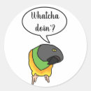 Suche nach fidel aufkleber Für alle
