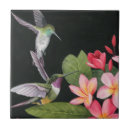 Suche nach plumeria fliesen Kolibris