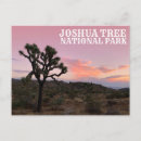 Suche nach joshua tree postkarten Natur