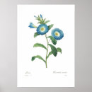 Suche nach winde poster Blumen