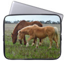 Suche nach fohlen laptop schutzhüllen Pferd