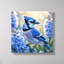 Suche nach blaues jay leinwandbilder Vogelvogel