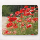 Suche nach rote mohnblumen mousepads Orange