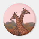 Suche nach rosa giraffe magnete Giraffen